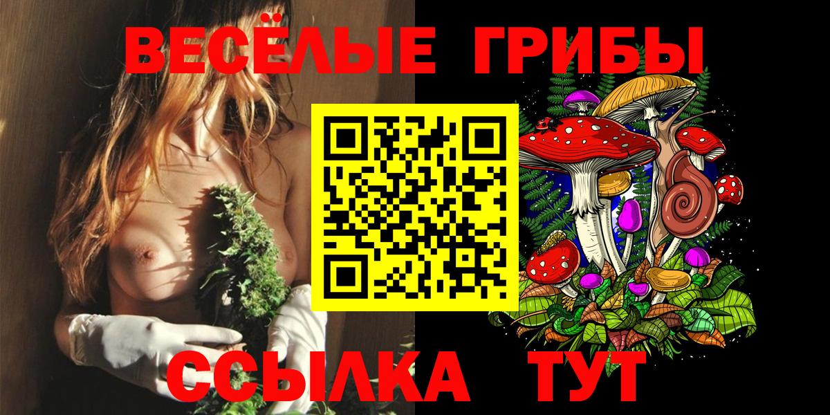 Родники  Псилоцибиновые грибы GOLDEN TEACHER  Псилоцибиновые грибы мухоморы  Вход с VPN 
